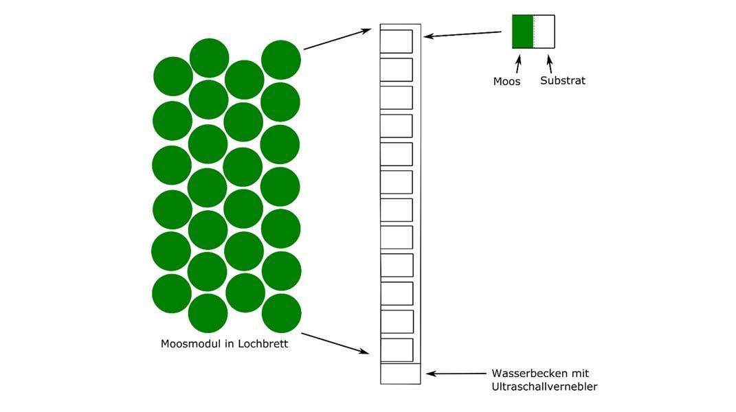 a sketch of a moss module